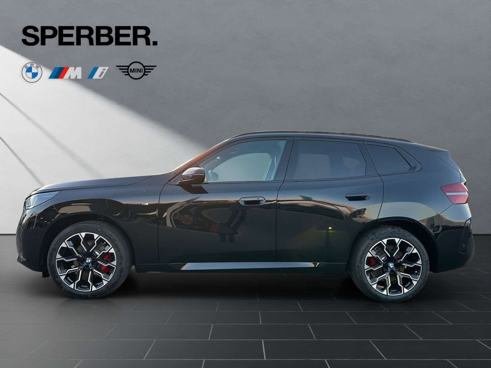 Fahrzeugbild eines BMW X3