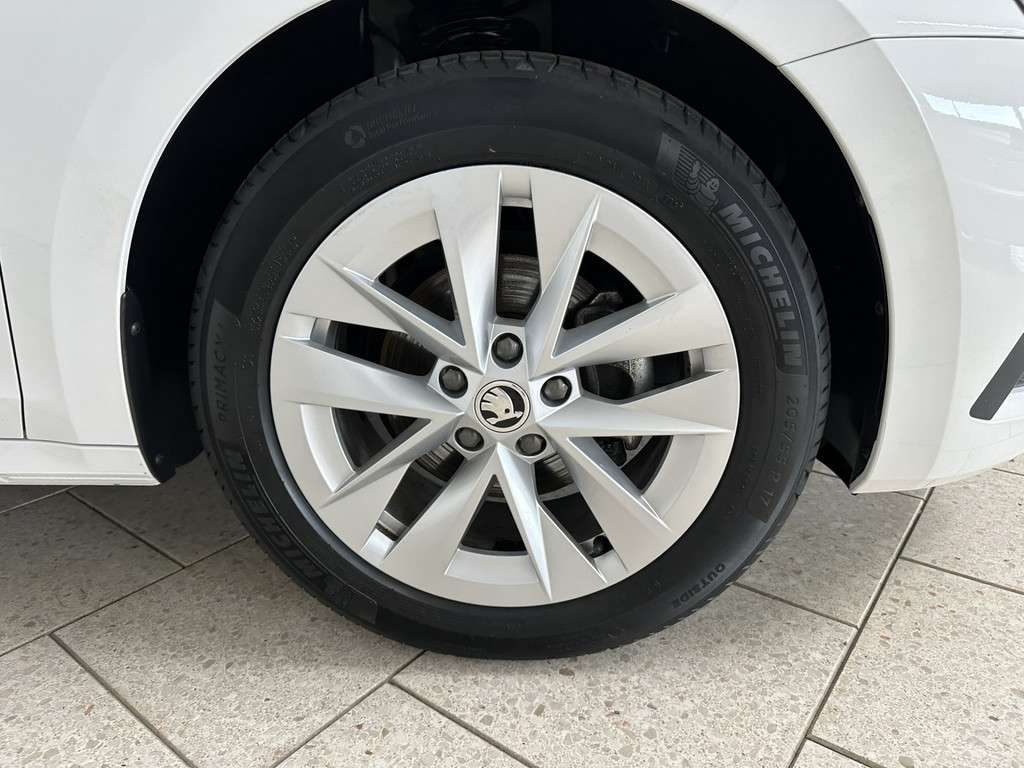 Fahrzeugbild eines Skoda Octavia