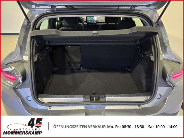 Fahrzeugbild eines Dacia Sandero