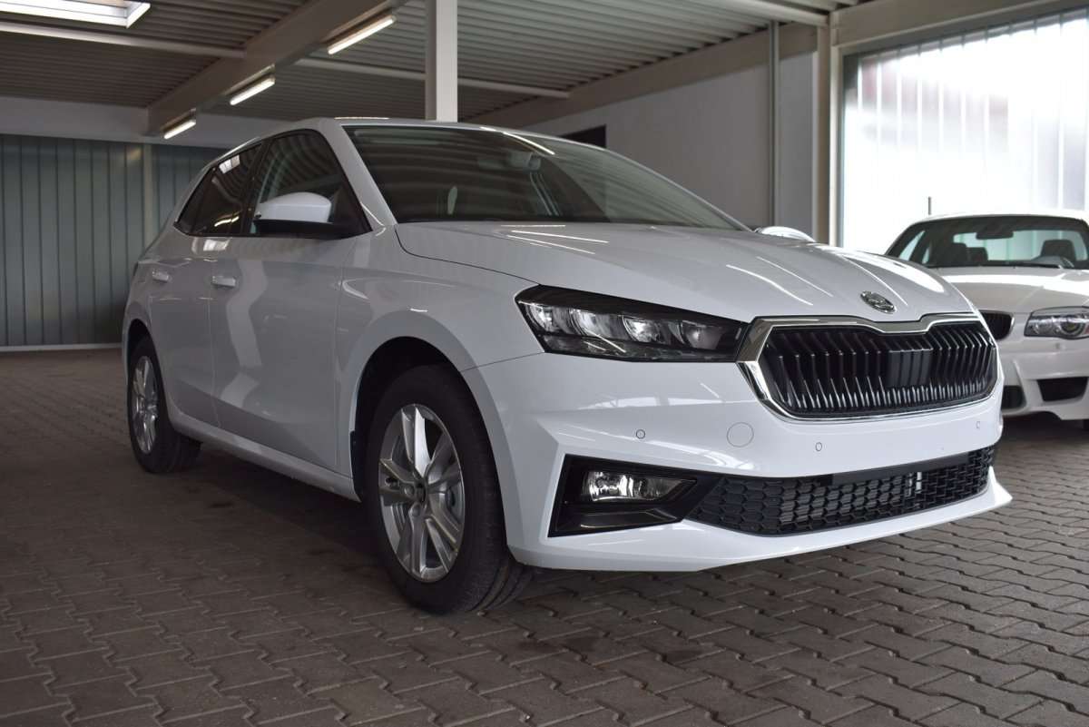 Fahrzeugbild eines Skoda Fabia