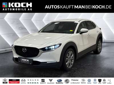 Bild Mazda CX-30
