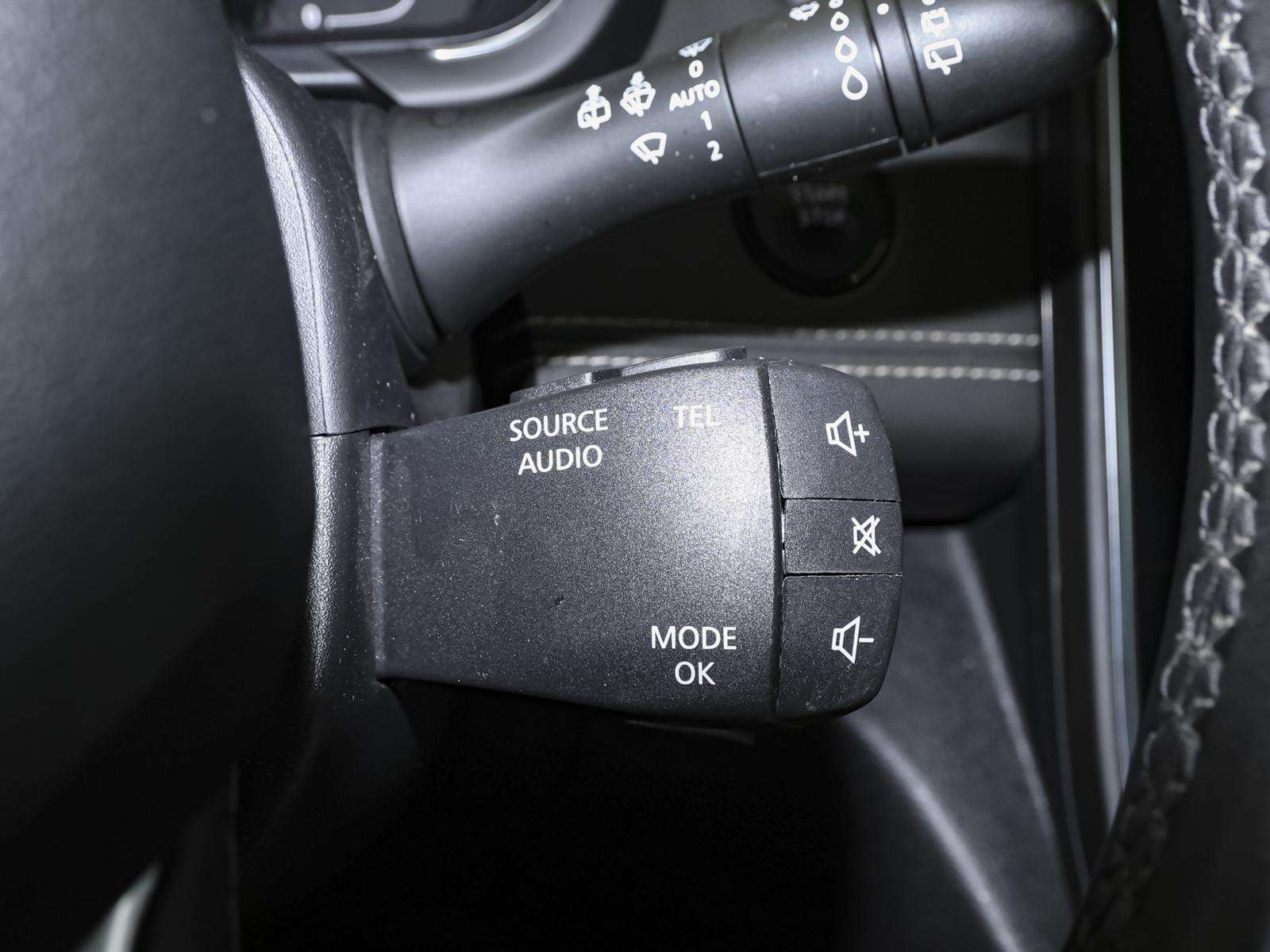 Fahrzeugbild eines Renault Scénic