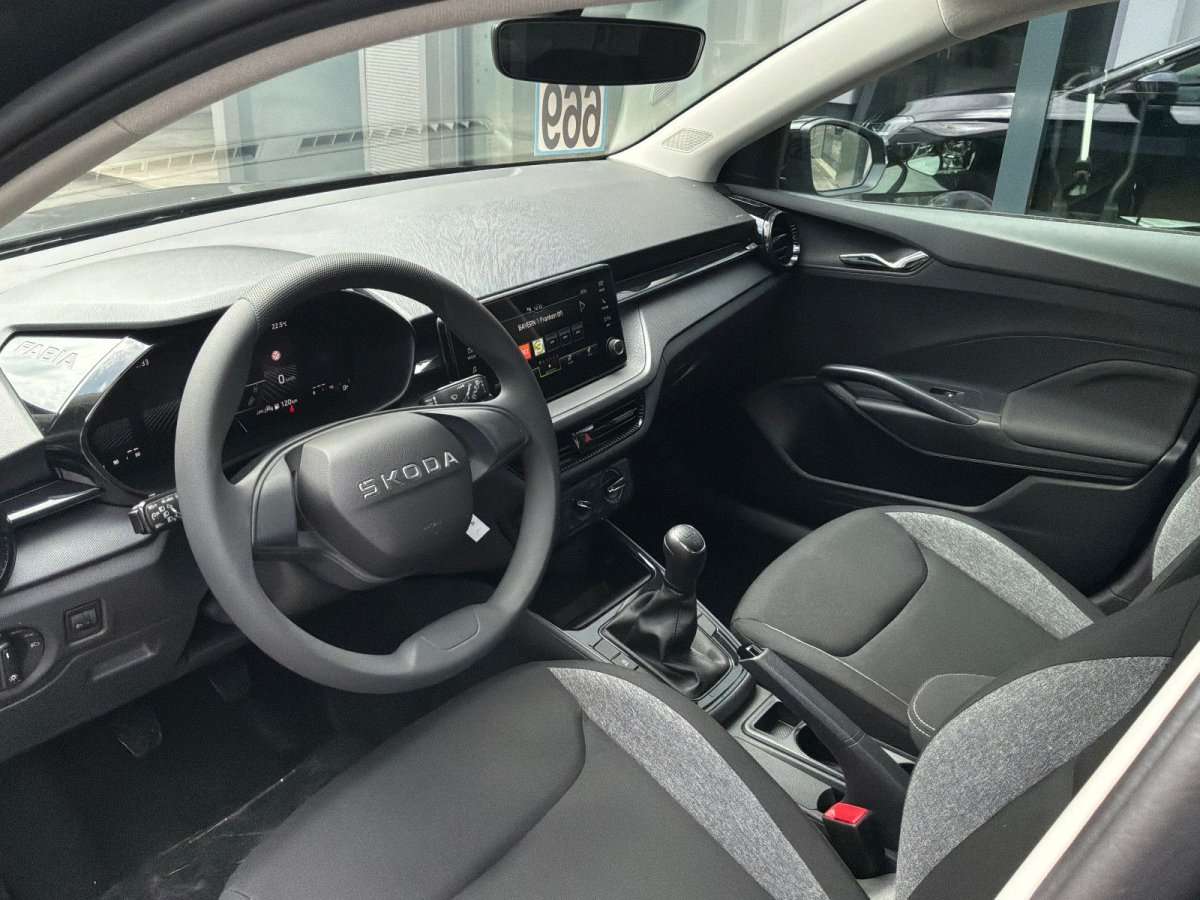 Fahrzeugbild eines Skoda Fabia
