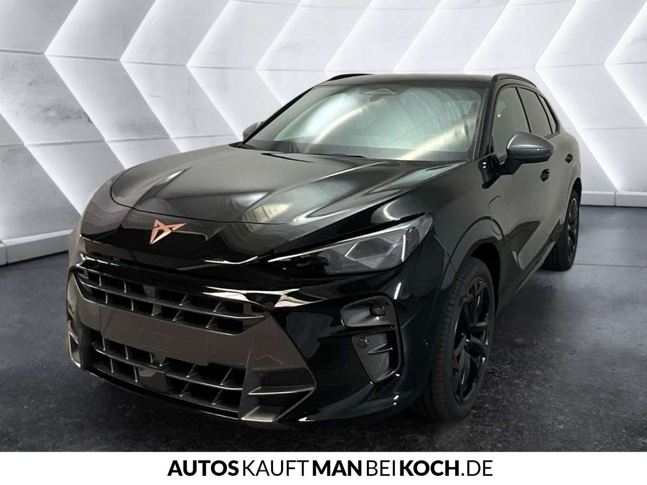 Fahrzeugbild eines CUPRA Terramar