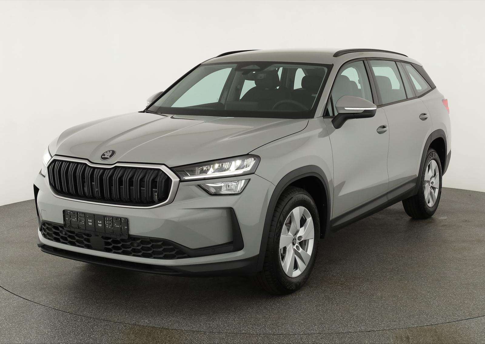Fahrzeugbild eines Skoda Kodiaq