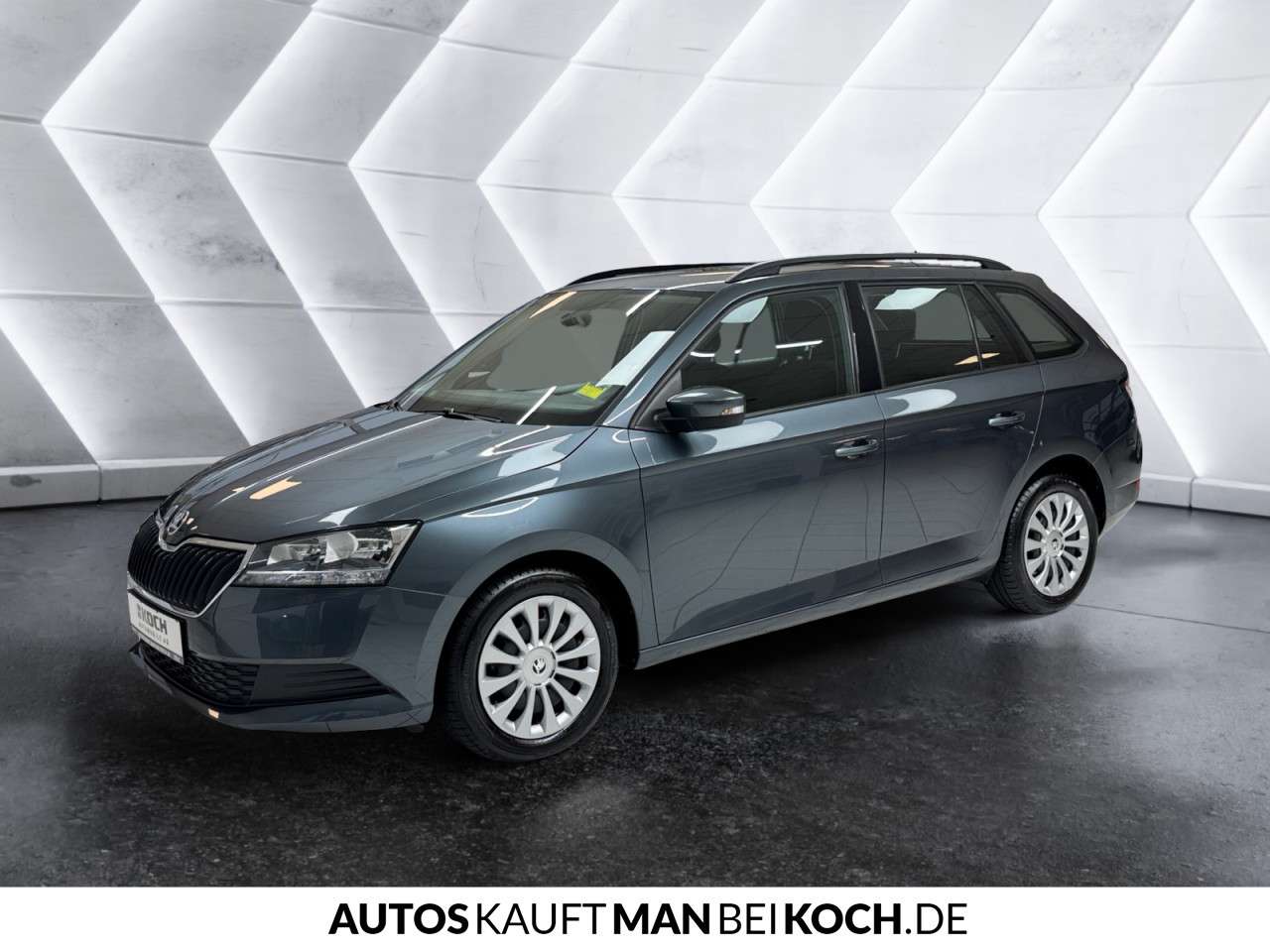 Fahrzeugbild eines Skoda Fabia