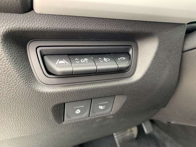 Fahrzeugbild eines Renault ZOE