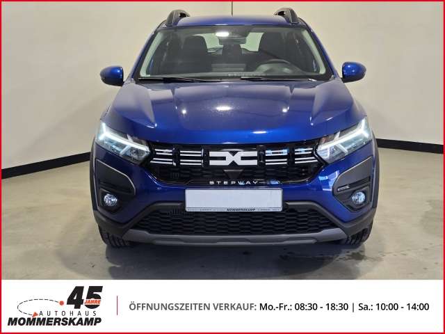 Fahrzeugbild eines Dacia Sandero