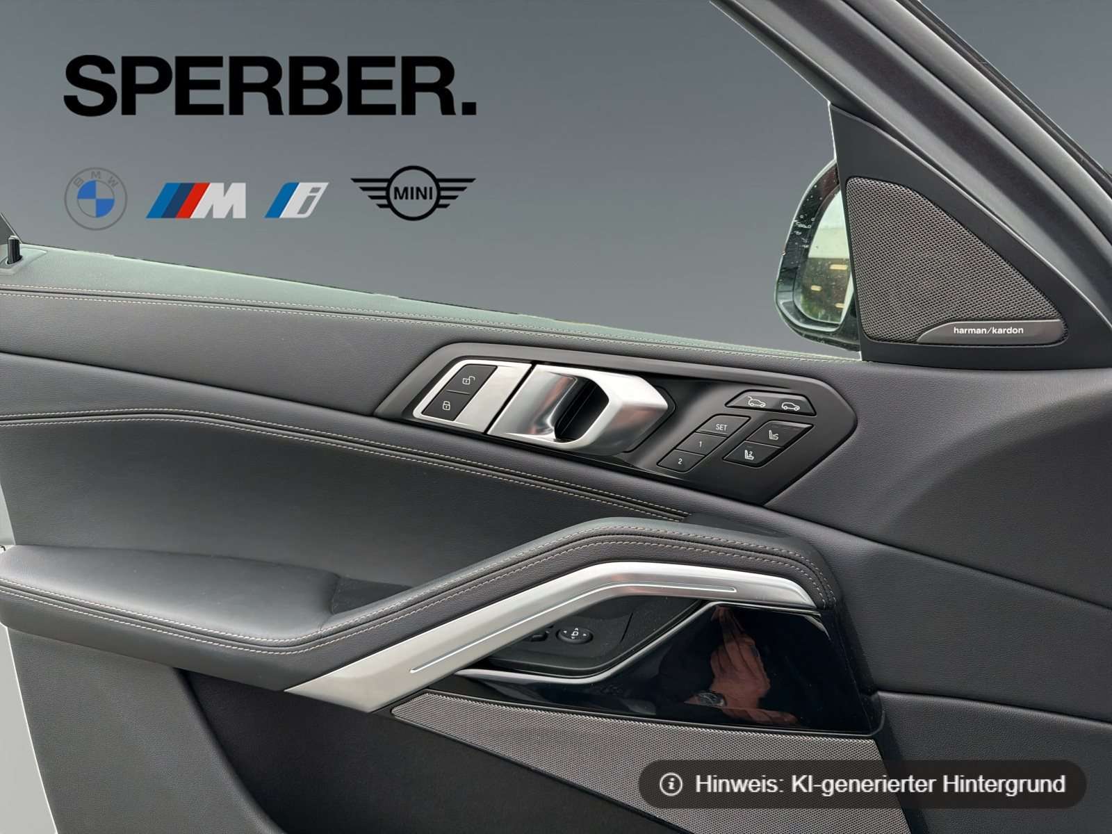 Fahrzeugbild eines BMW X6