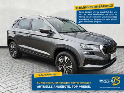 Bild Skoda Karoq