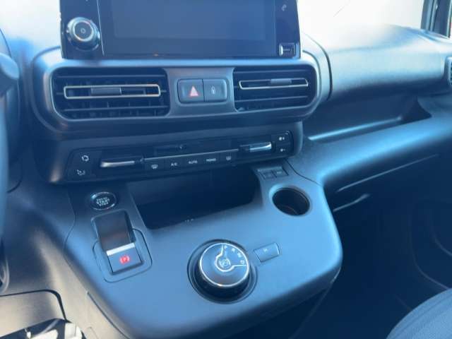 Fahrzeugbild eines Opel Combo Life
