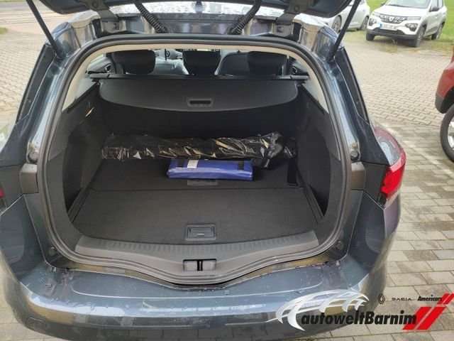 Fahrzeugbild eines Renault Mégane