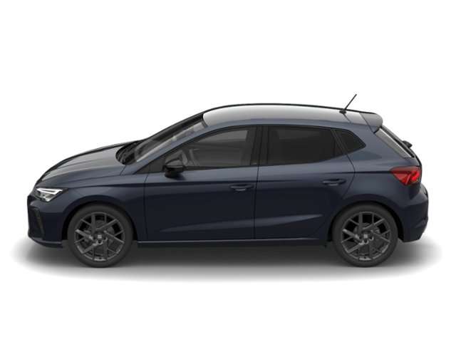 Fahrzeugbild eines SEAT Ibiza