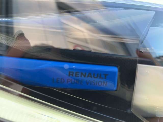 Fahrzeugbild eines Renault ZOE