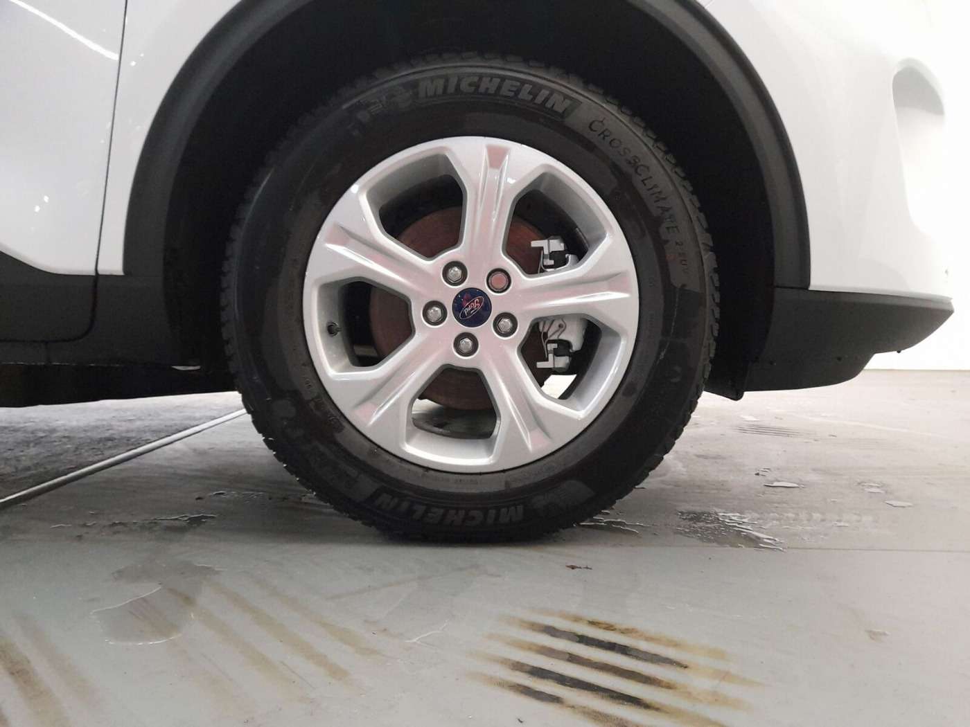 Fahrzeugbild eines Ford Kuga