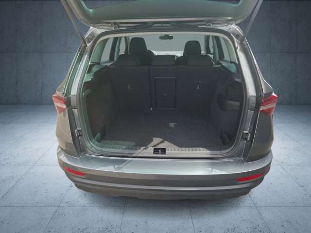 Fahrzeugbild eines Skoda Karoq