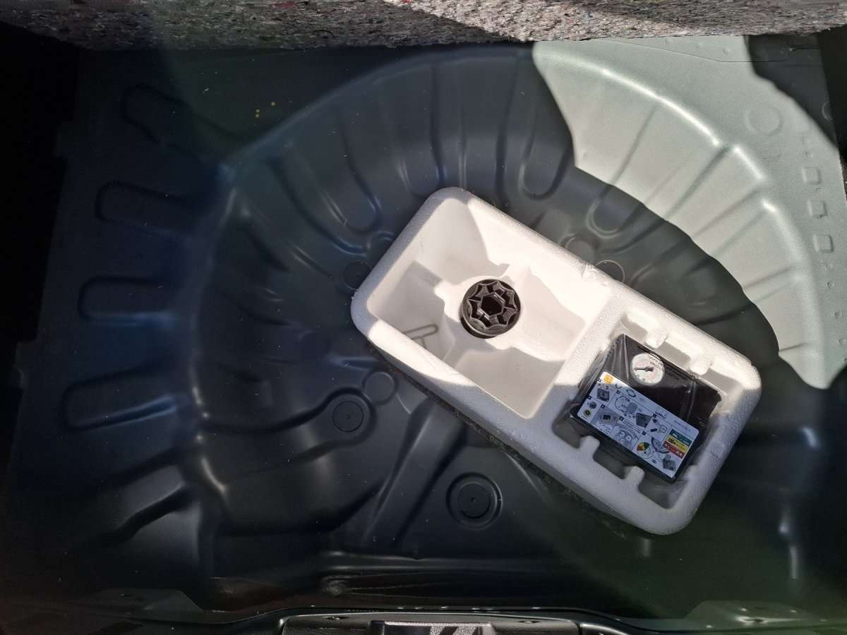 Fahrzeugbild eines Dacia Sandero