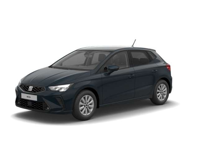 Fahrzeugbild eines SEAT Ibiza