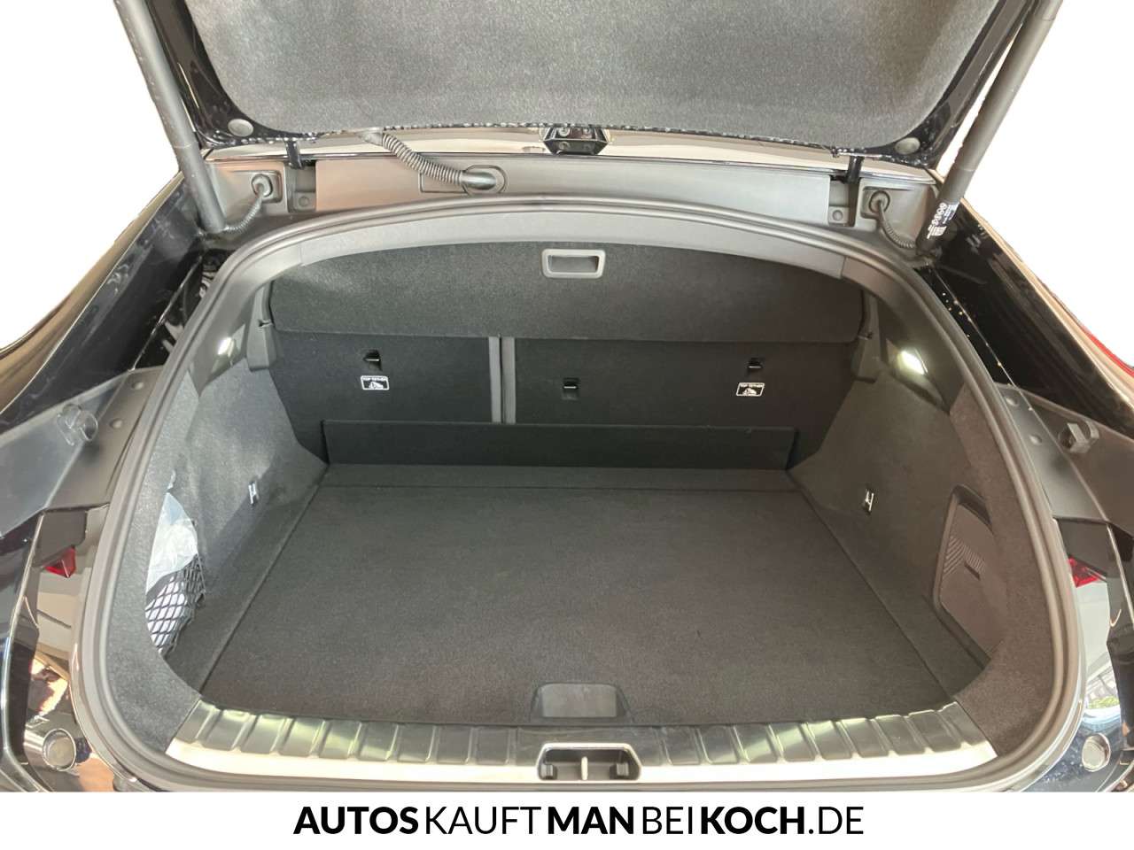 Fahrzeugbild eines Polestar 4