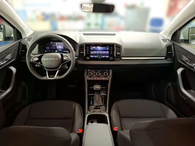 Fahrzeugbild eines Skoda Karoq