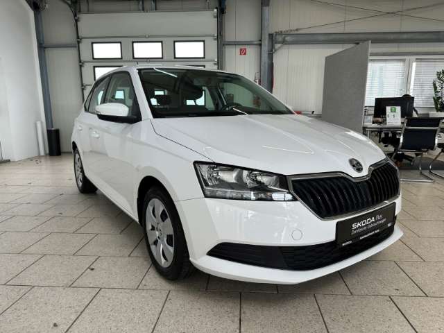 Fahrzeugbild eines Skoda Fabia