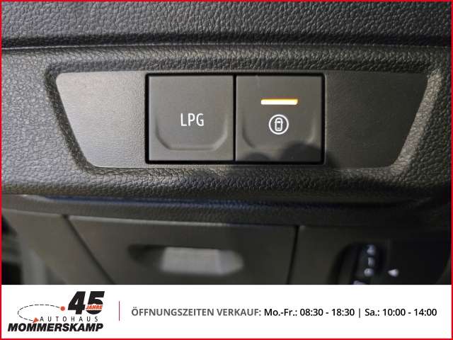 Fahrzeugbild eines Dacia Sandero