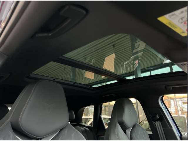 Fahrzeugbild eines CUPRA Terramar