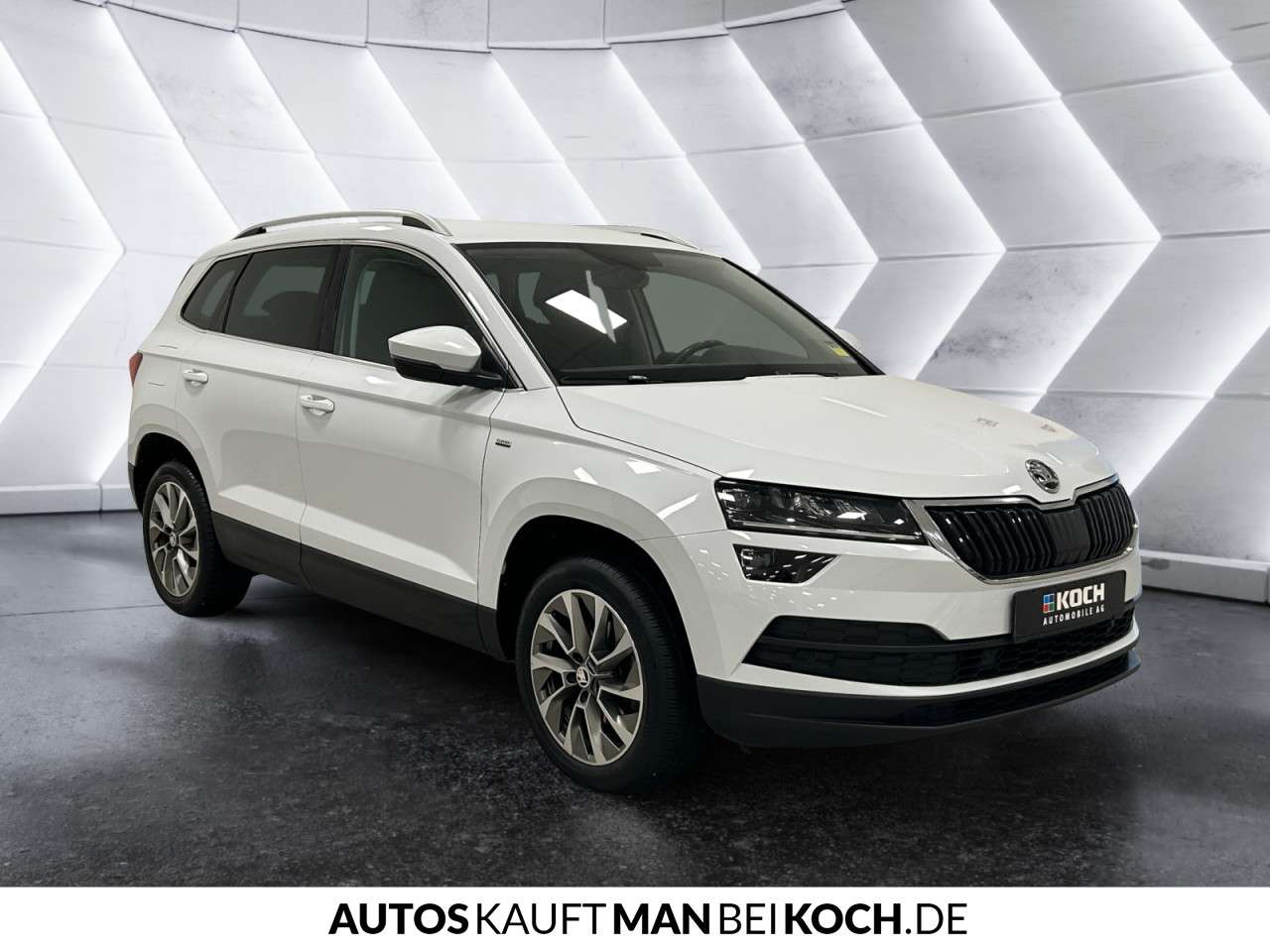 Fahrzeugbild eines Skoda Karoq
