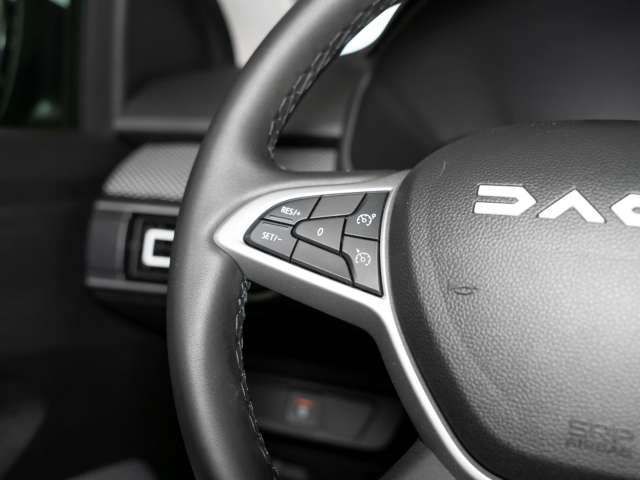 Fahrzeugbild eines Dacia Jogger