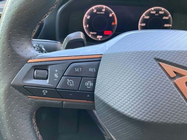Fahrzeugbild eines CUPRA Formentor