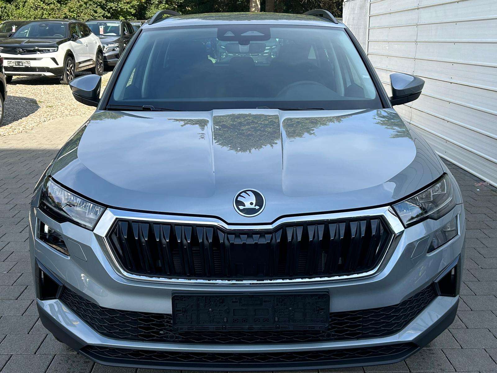 Fahrzeugbild eines Skoda Karoq