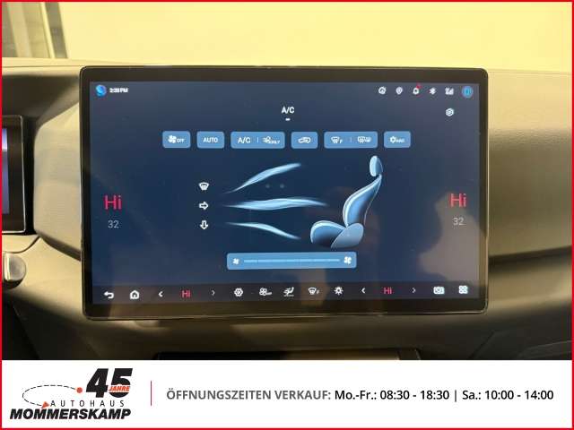 Fahrzeugbild eines BYD Atto 2