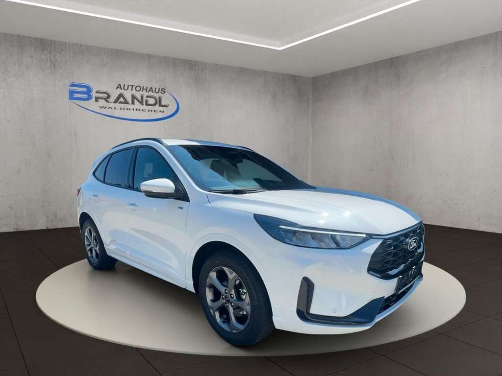 Fahrzeugbild eines Ford Kuga