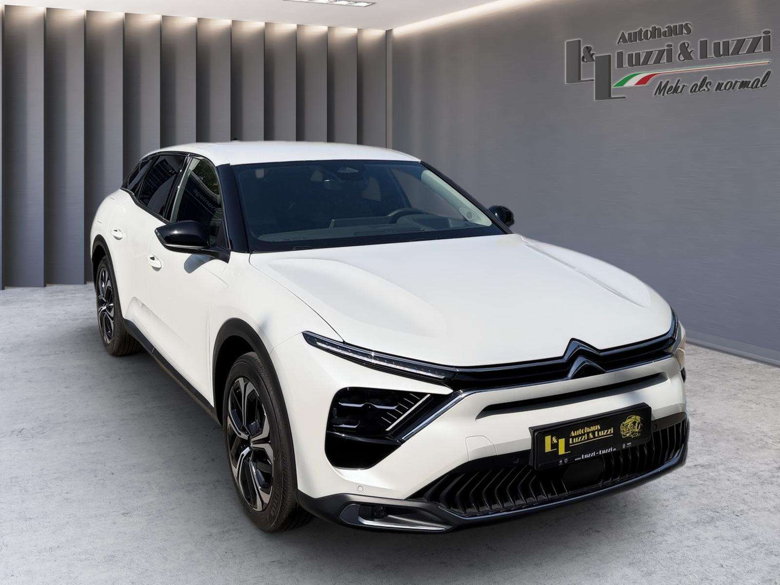 Fahrzeugbild eines Citroën C5 X