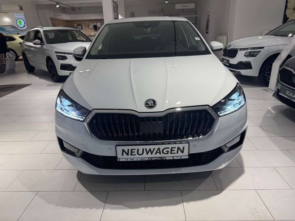 Fahrzeugbild eines Skoda Fabia