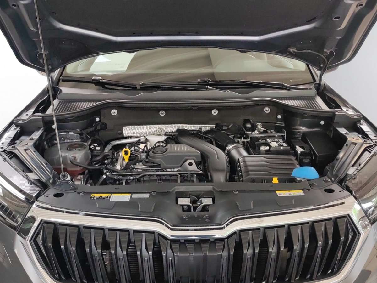 Fahrzeugbild eines Skoda Karoq