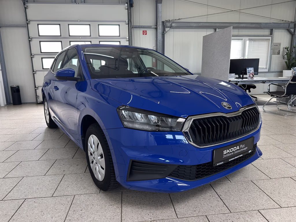 Fahrzeugbild eines Skoda Fabia