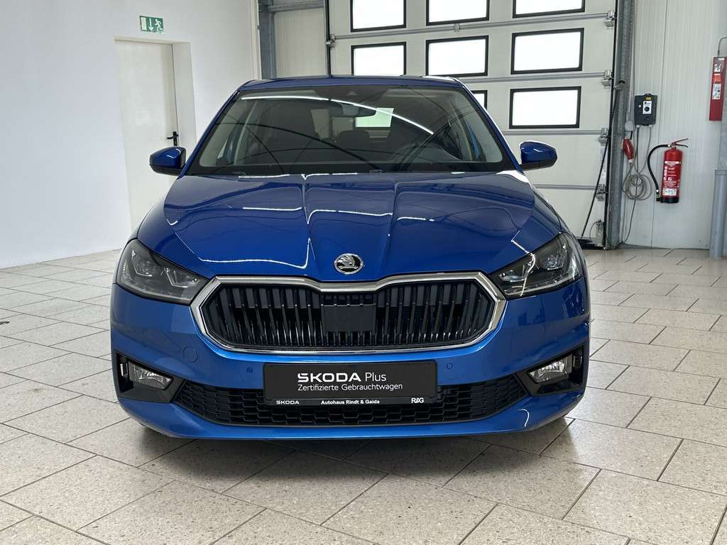 Fahrzeugbild eines Skoda Fabia