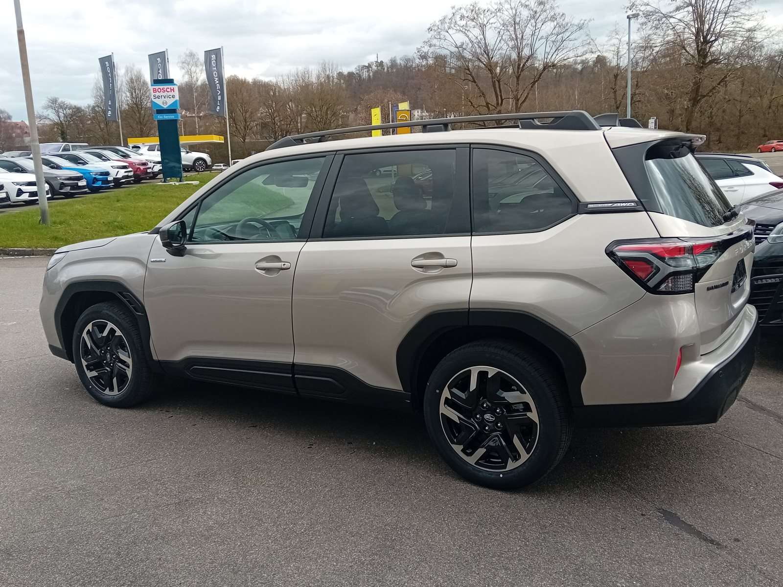 Fahrzeugbild eines Subaru Forester