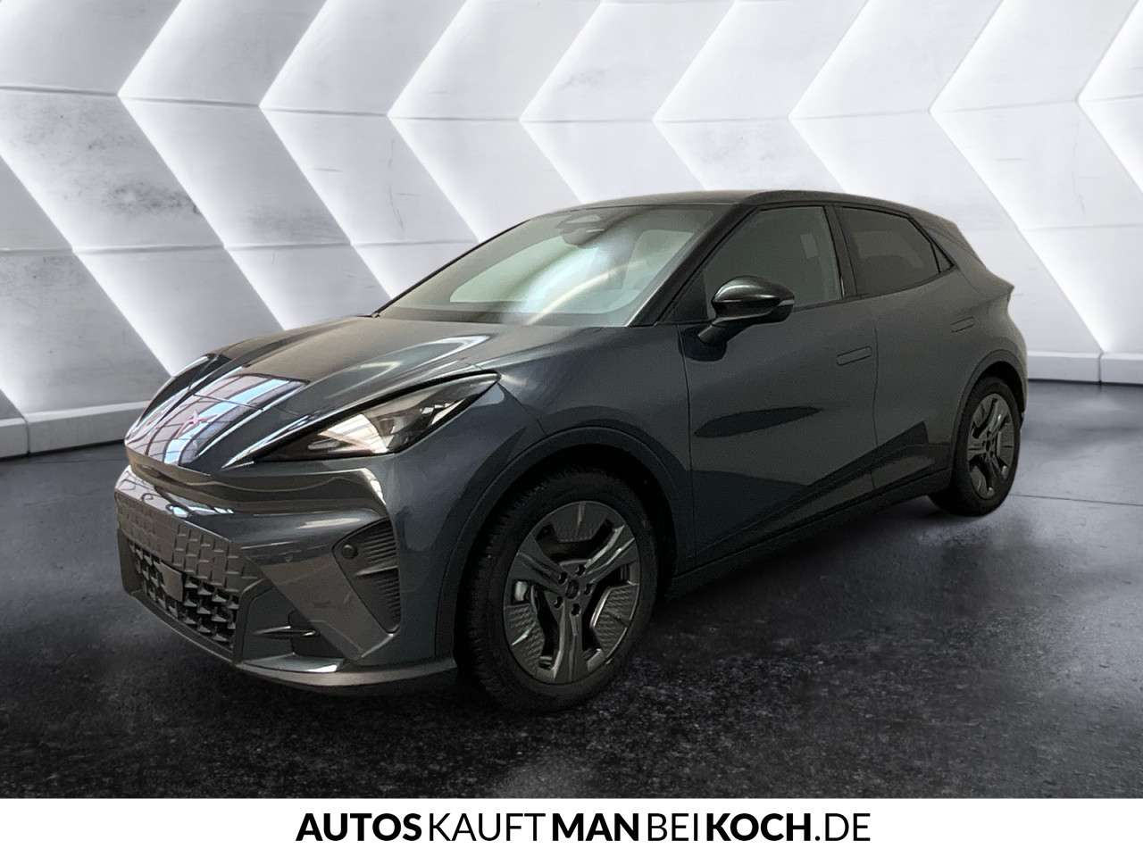 Fahrzeugbild eines CUPRA Raval