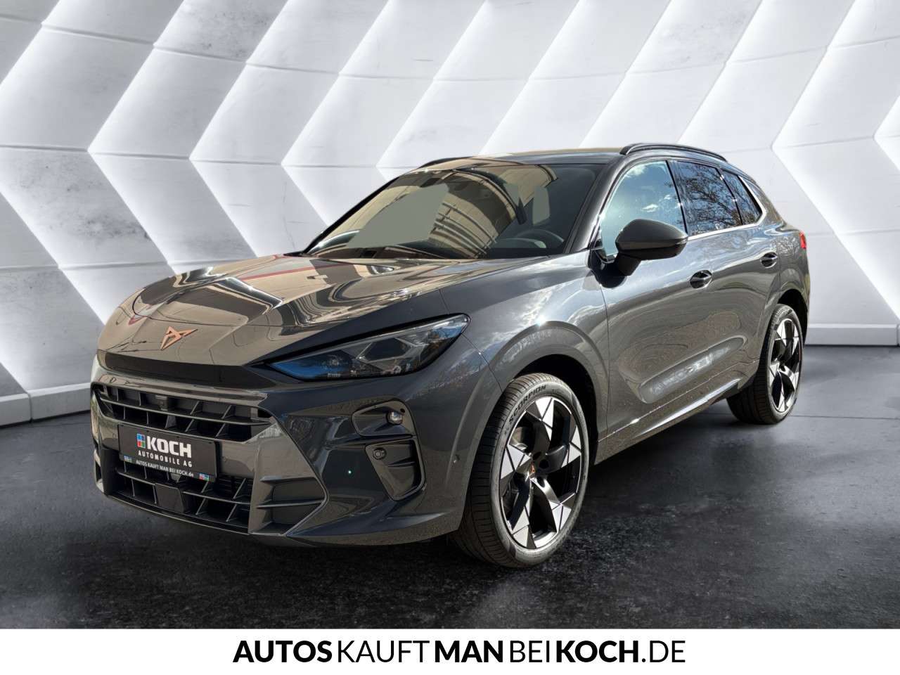 Fahrzeugbild eines CUPRA Terramar