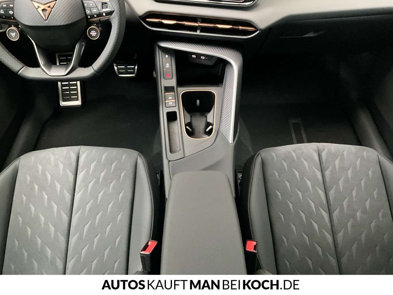 Fahrzeugbild eines CUPRA Terramar