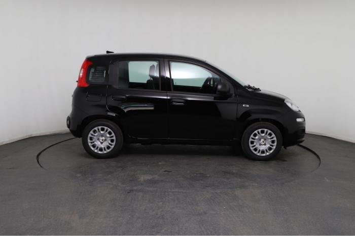 Fahrzeugbild eines Fiat Panda