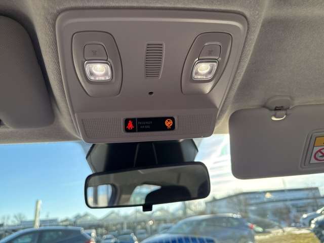 Fahrzeugbild eines Renault ZOE