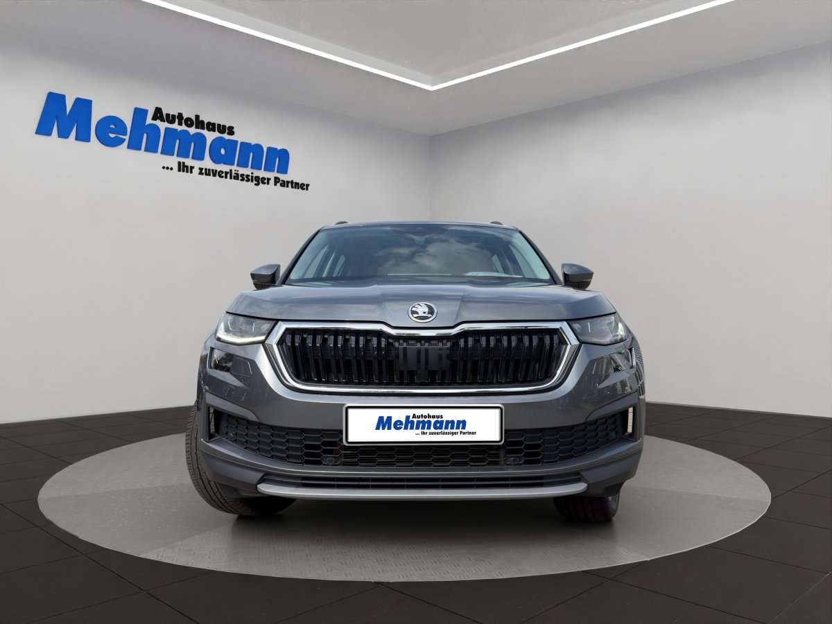 Fahrzeugbild eines Skoda Kodiaq