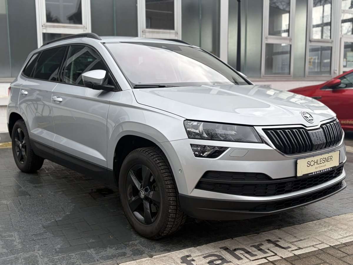 Fahrzeugbild eines Skoda Karoq