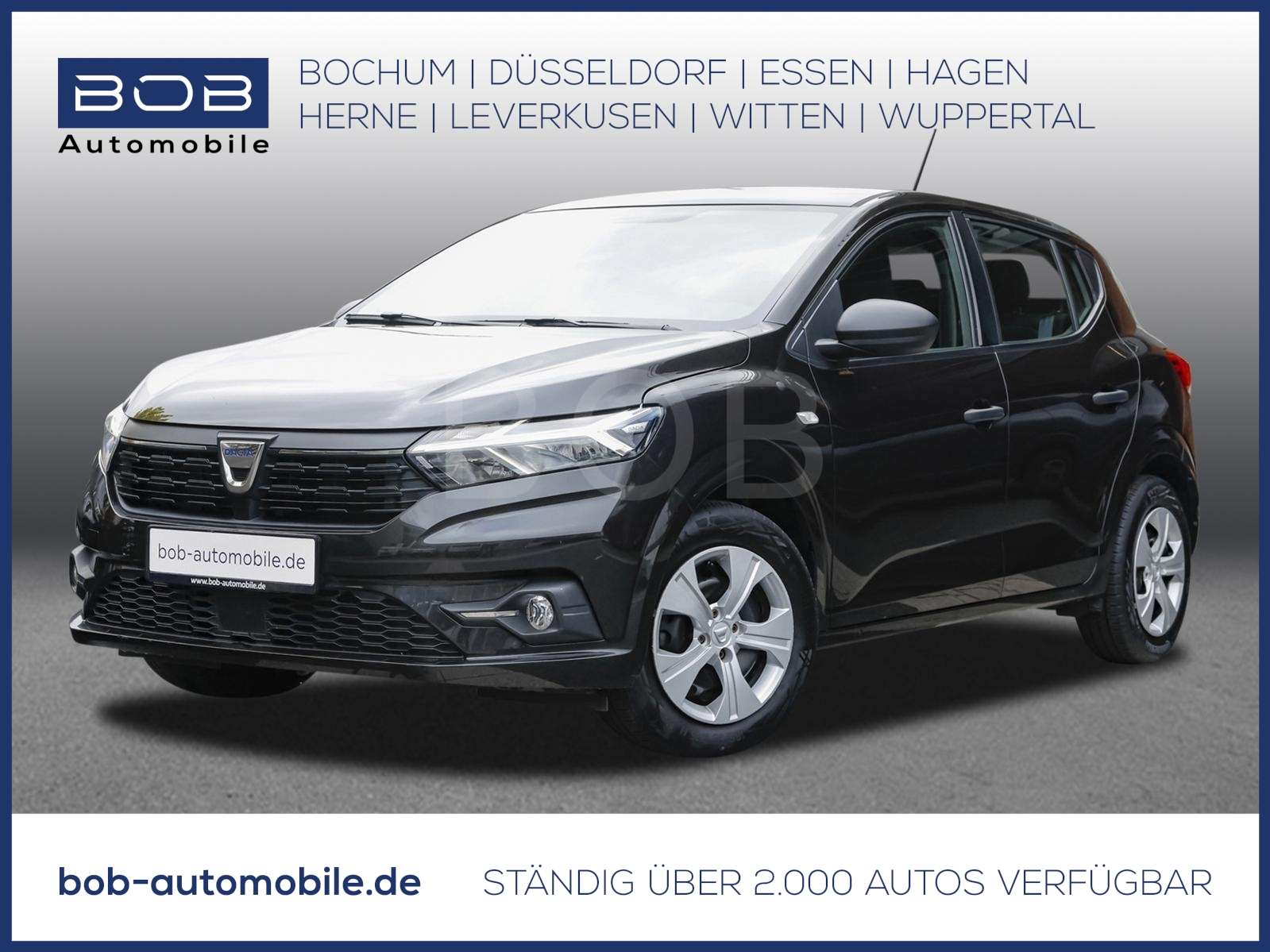 Fahrzeugbild eines Dacia Sandero