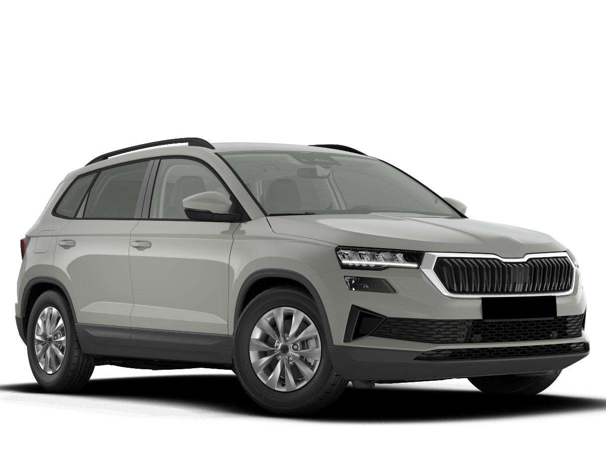 Fahrzeugbild eines Skoda Karoq