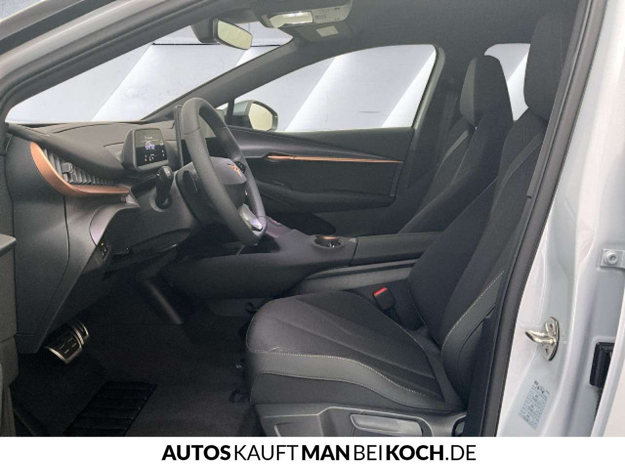 Fahrzeugbild eines CUPRA Tavascan