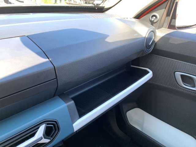 Fahrzeugbild eines Dacia Spring